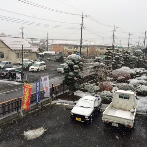 脅威の雪