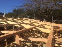屋根を支える為の垂木施工中
